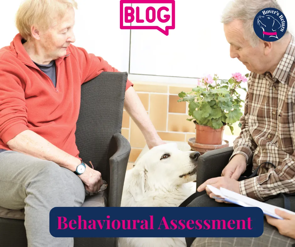 Behaviour assessment in dogs