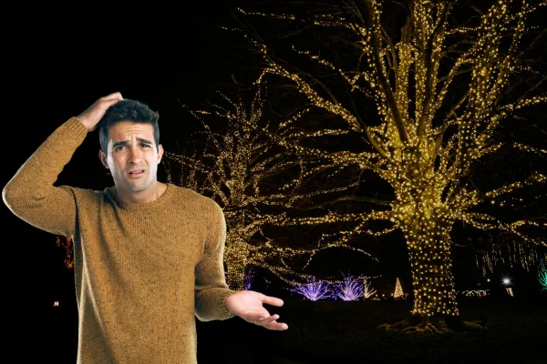 Christmas Lights wrapping tree