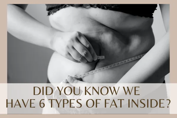 hey-did-you-know-we-have-6-types-of-body-fat