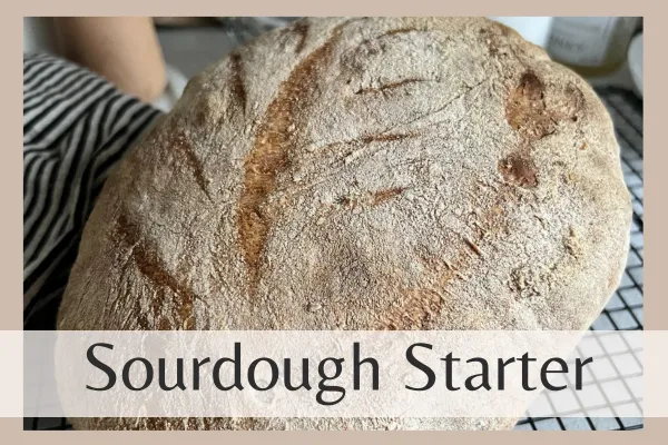 Make-A-Sourdough-Starter-in-5-Easy-Steps