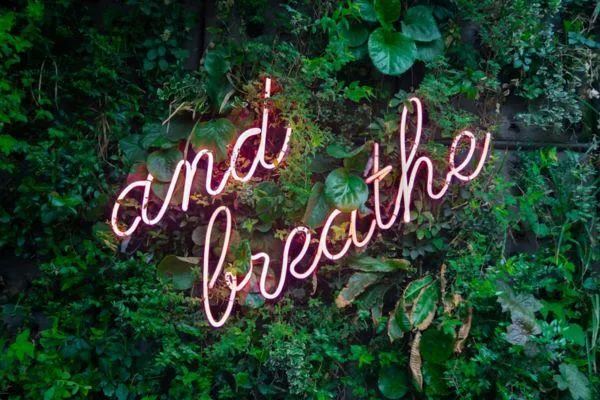 Be the Calm in the Chaos: How You Show Up Matters More Than You Think