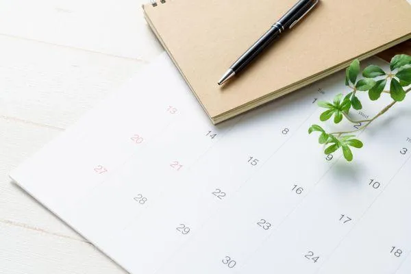 Revitalize Your Travel Advisory Business: The Secrets of Successful Routines and Essential Tools