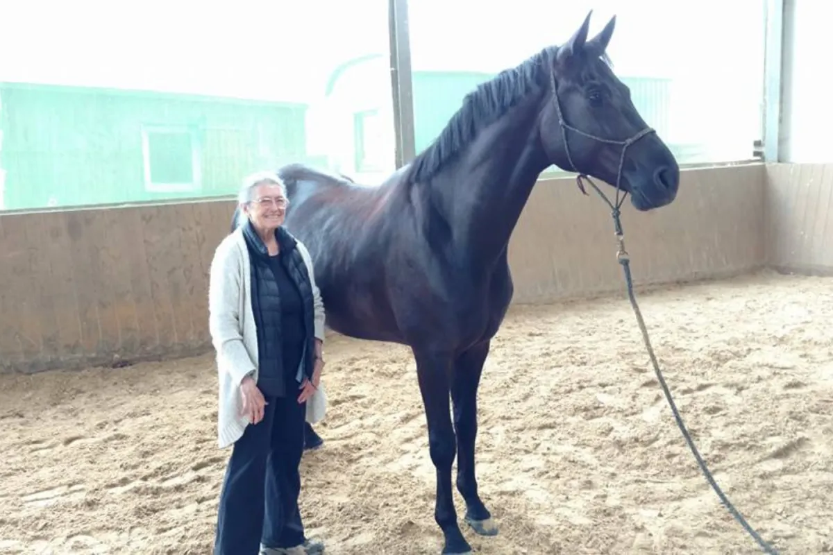 Editorial:
How
Eleanor Criswell Created Equine Hanna Somatics® in 1995