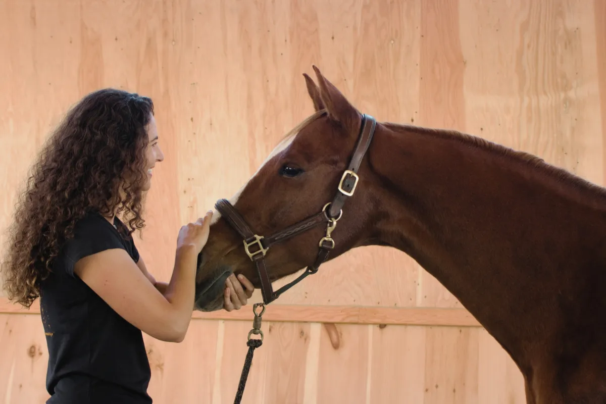 Mindful Horsemanship, shared nervous system