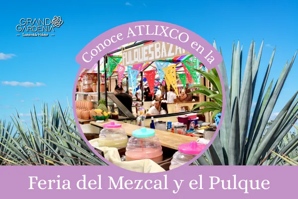 Feria del Mezcal y Pulque de Atlixco