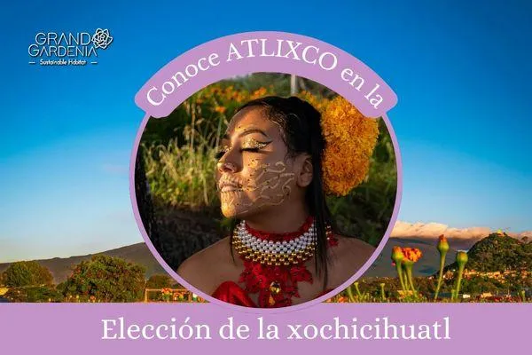 Elección de la Xochicihuatl