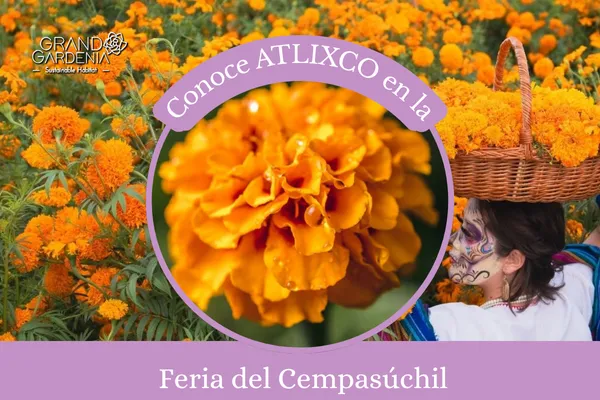 Feria del Cempasúchil