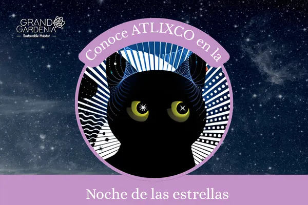 Portada Noche de estrellas