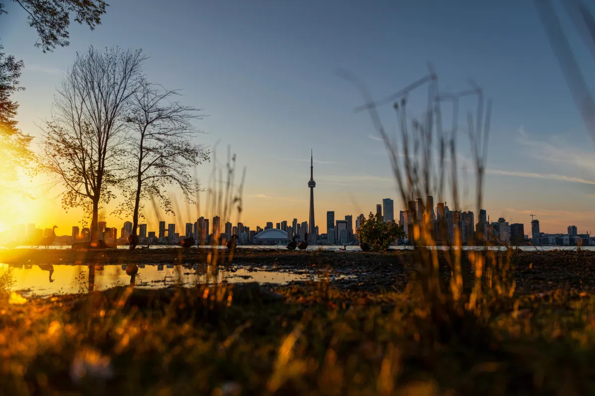 Trendy Things to Do in Toronto This Fall: A Local’s Guide