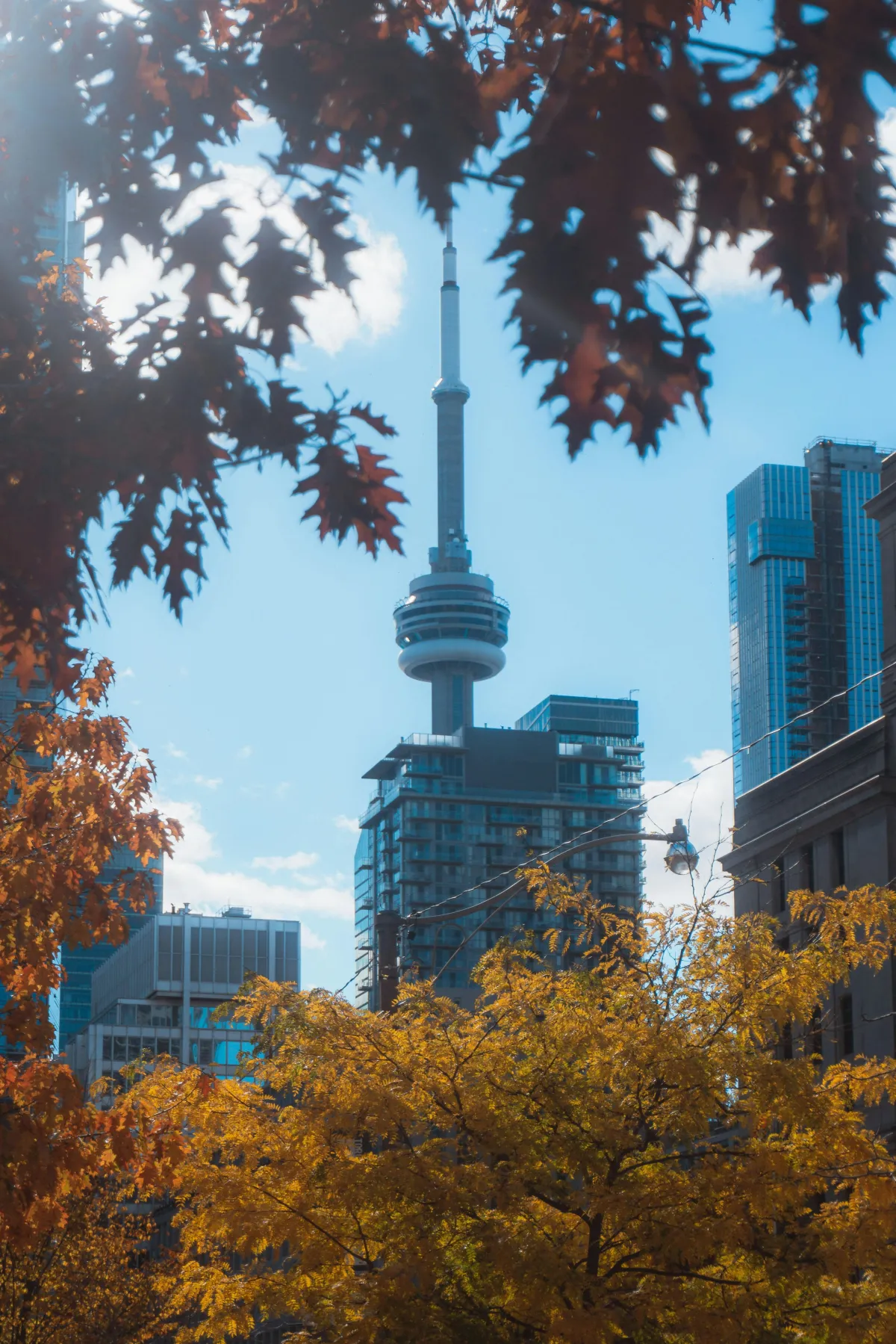 Trendy Things to Do in Toronto This Fall - Part Deux