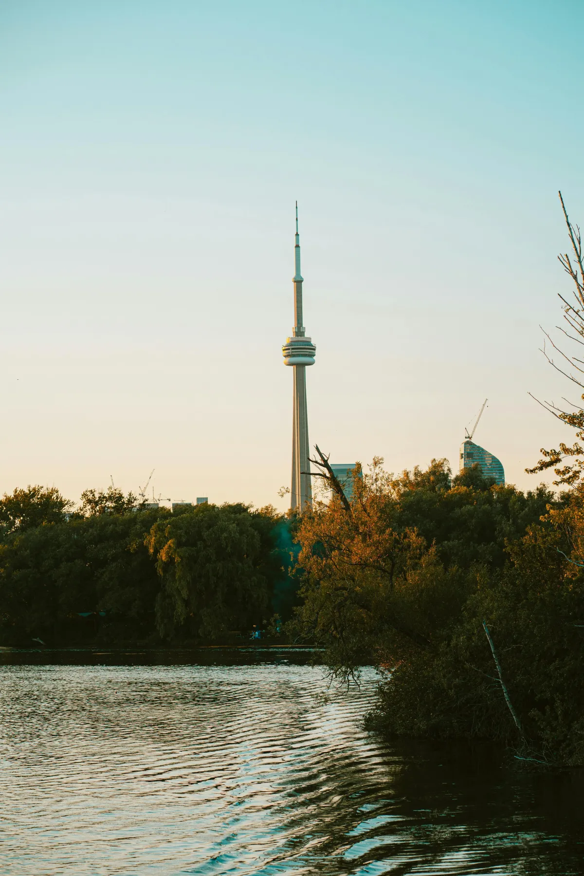 Toronto’s New Cultural Hotspots: Emerging Events & Installations in Fall 2025