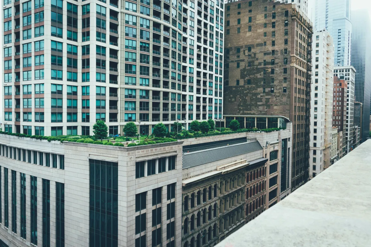 Toronto's Green Arteries: How the World's Largest Urban Ravine System Secretly Powers the City's Soul