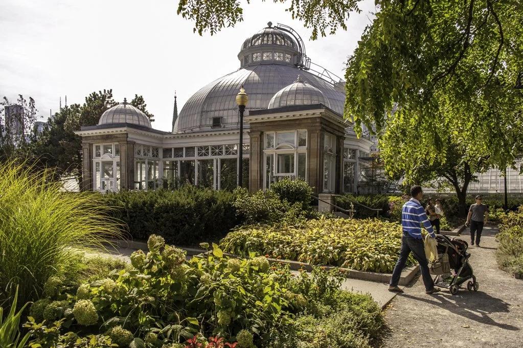 Allan Gardens: Toronto’s Timeless Greenhouse of Wonders