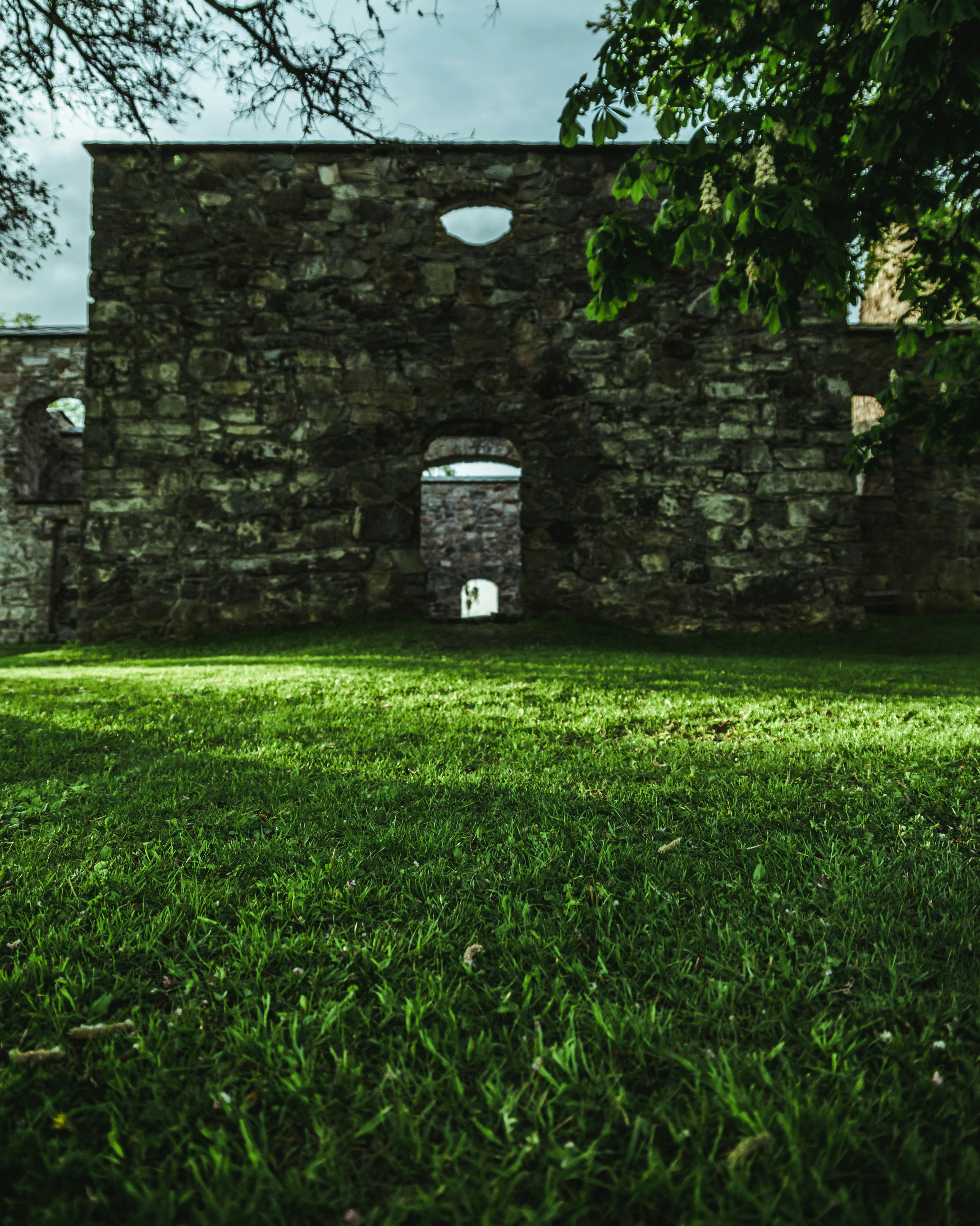 The Park That Refused to Disappear