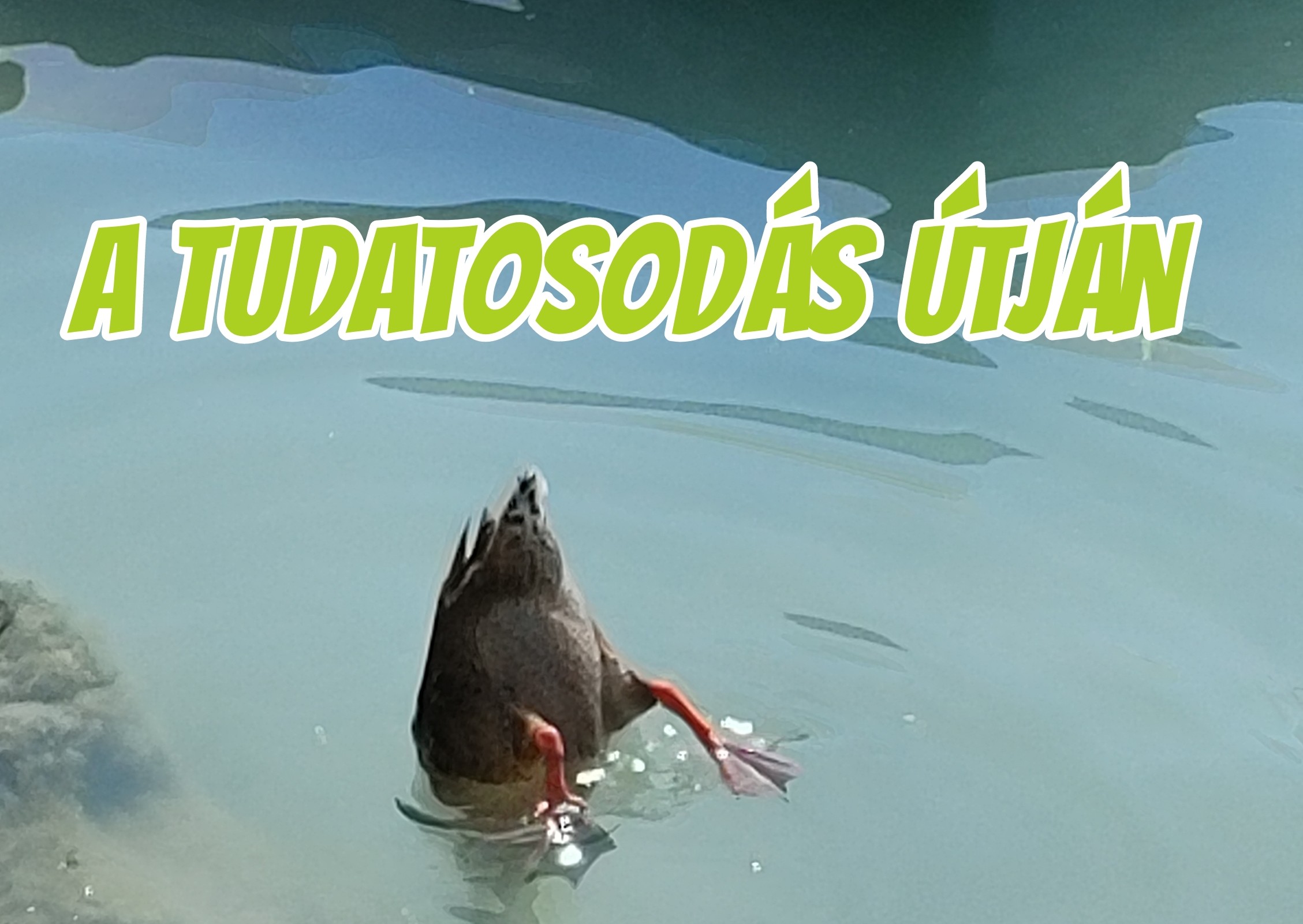 Adódik egy nagy probléma vagy sok kicsi vagy sajnos sok nagy. Vagy ezek keveréke. És te ott állsz tehetetlenül. Sokan ekkor kerülnek kapcsolatba a pszichológiával, terapeutához kezdenek járni, tanfolyamot, új hobbit választanak. Bármelyik út segíthet, mert változásba hoz, változtatást készít elő.