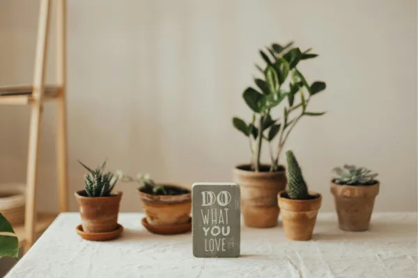 What To Do When Your HSC Has an Obsession