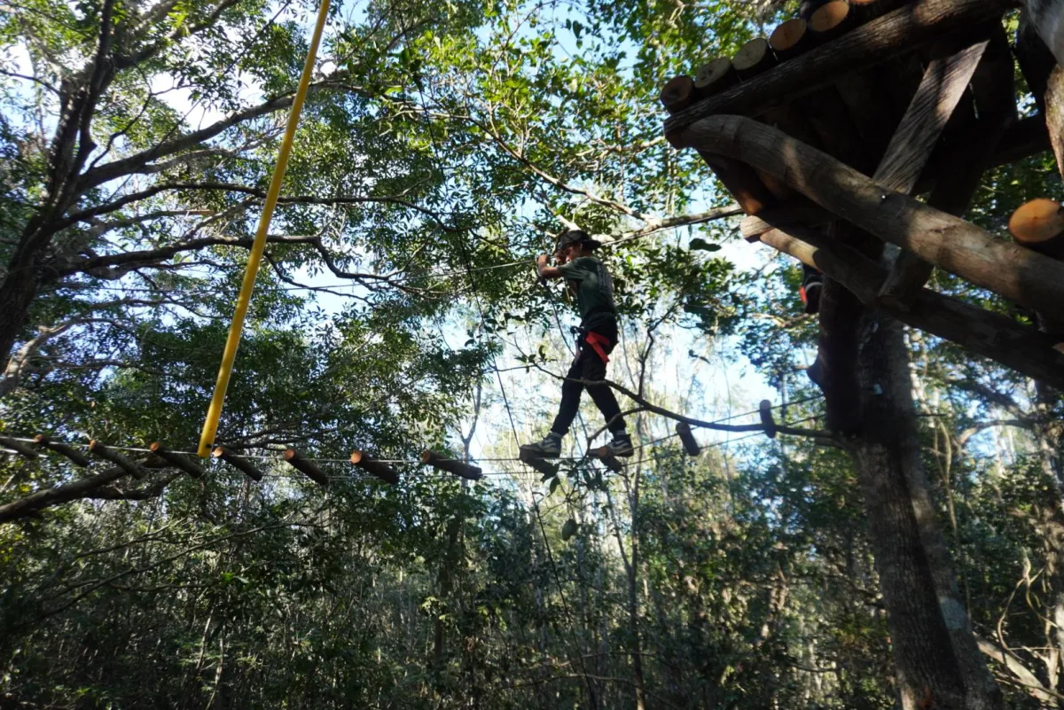 ropes bridge