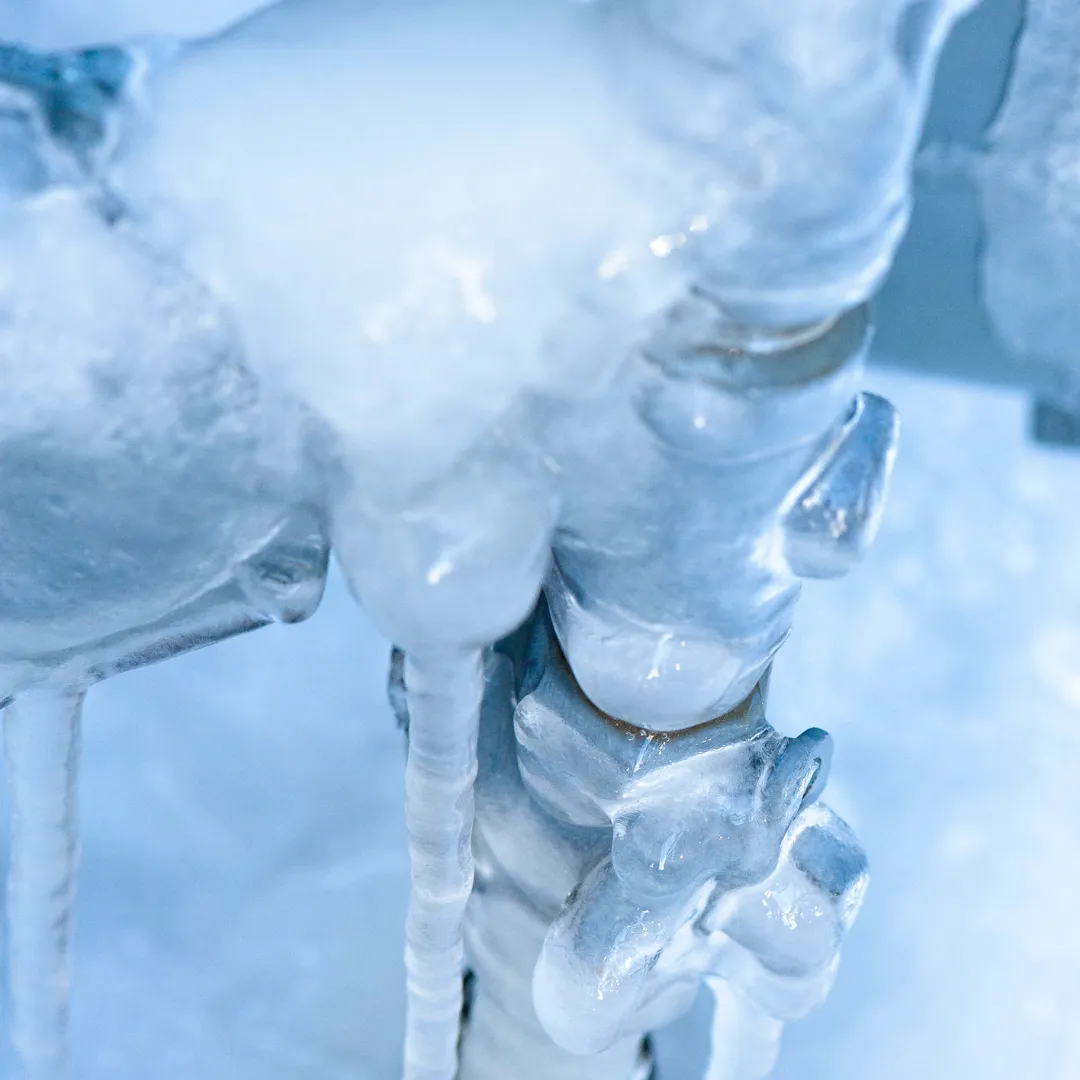 Icy Winter