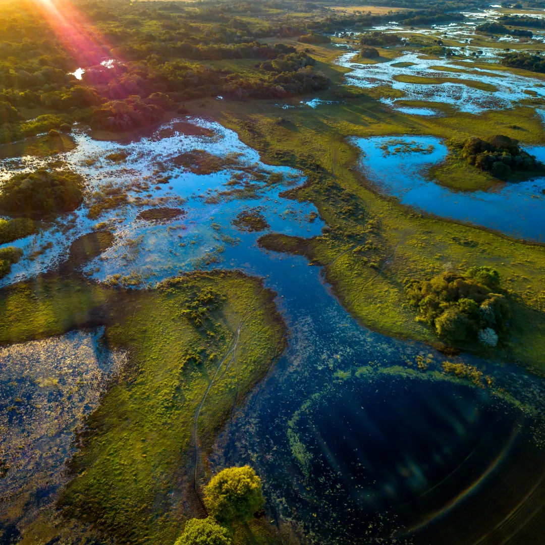 National Wetlands Month