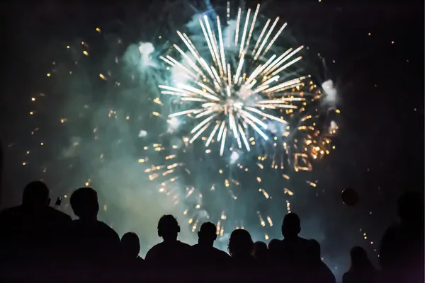 Helping Dogs Cope with Fireworks