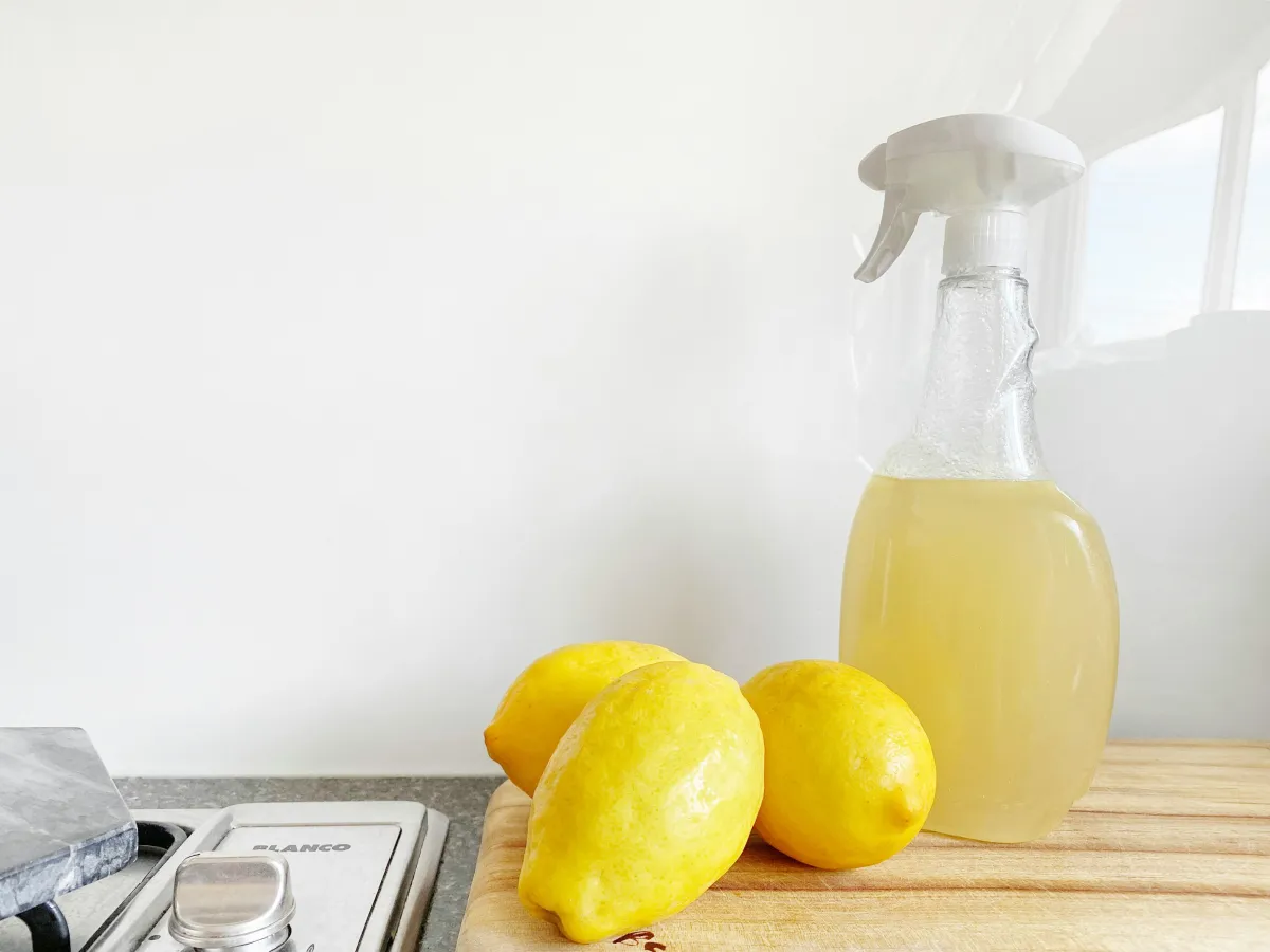 Natural Ways to Get Rid of Mold: Non-Toxic DIY Mold Removal
