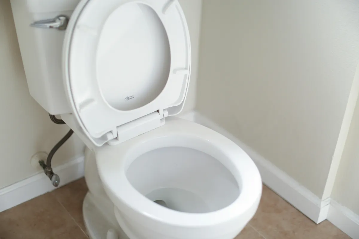 Removing Stains from Your Toilet
