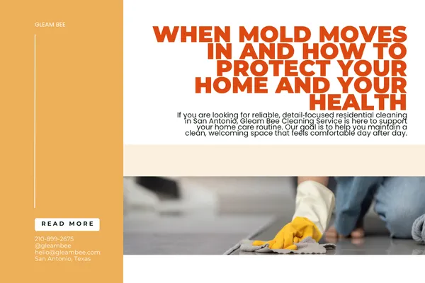When Mold Moves In and How to Protect Your Home and Your Health