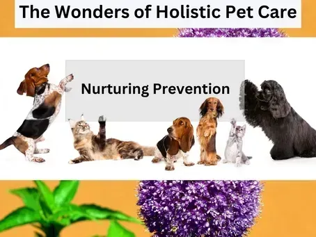 Holistic Pet Care: A Natural Approach to Lifelong Health for Dogs and Cats