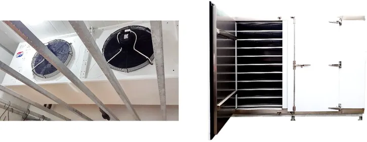 Apa Bedanya Air Blast Freezer dan Contact Plate Freezer? Mana yang Lebih Cepat dan Hemat Energi?