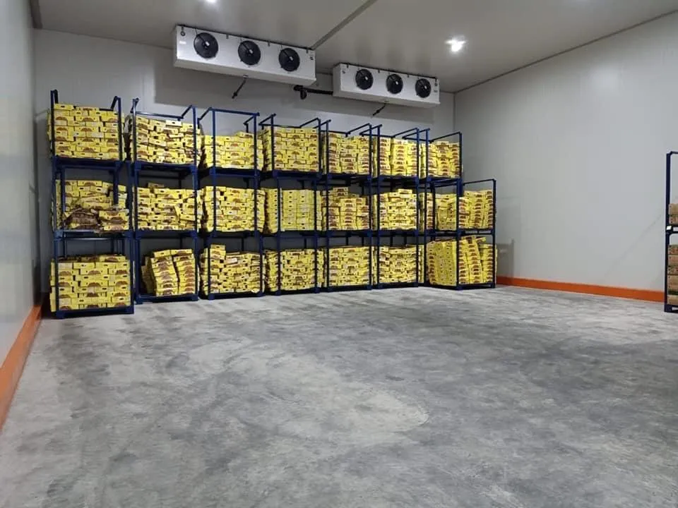 Optimasi Sistem Pendingin Industri: Bagaimana Desain Cold Room yang Hemat Energi 20–30% ?