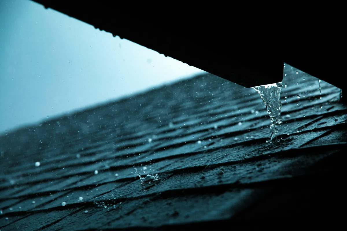 Roof Leak Detection: What to Do When You Spot a Leak in Your Home