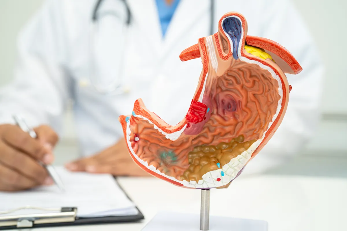 Chiropractic & Digestive Health