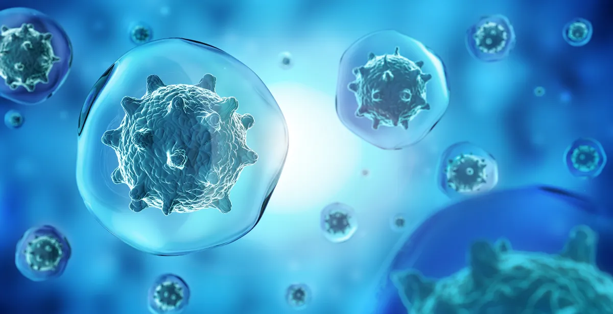 Immune System