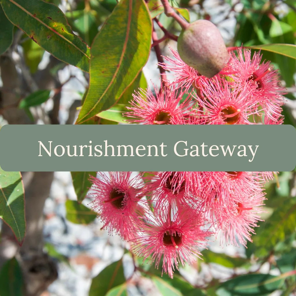 Nourishment Gateway - 12month holistic healing program gum blossoms with text
