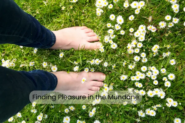 Embracing Pleasure: Finding Joy In The Mundane
