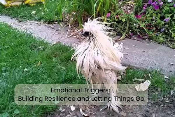 Emotional Triggers: Building Resilience and Letting Things Go