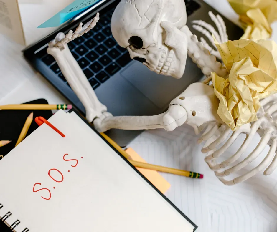 How I Reset My Nervous System (and How You Can Too)