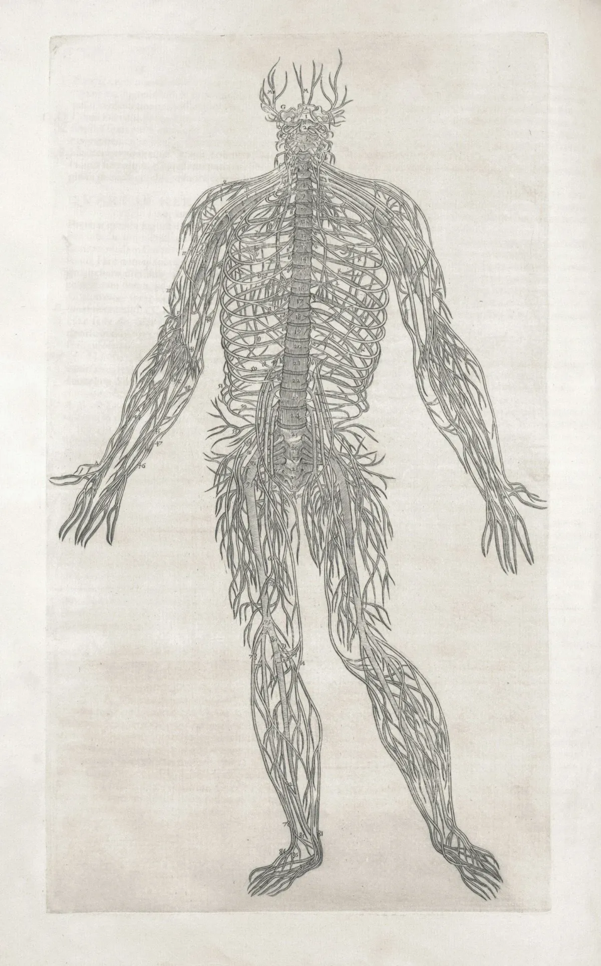 Why You Can’t Ignore Nervous System Care