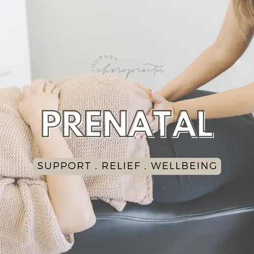 Prenatal Resources