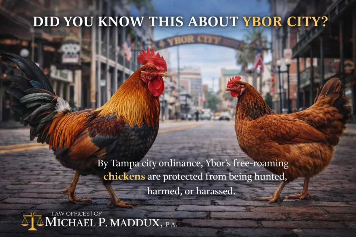 Did You Know This About Ybor City?