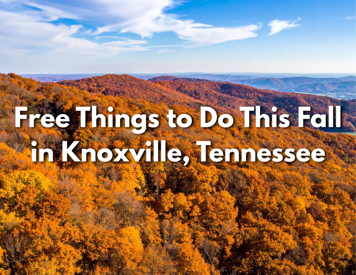 Free Things to Do This Fall in Knoxville, Tennessee | Jeff LaRue Team