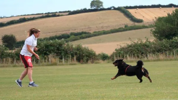Recall training in progress