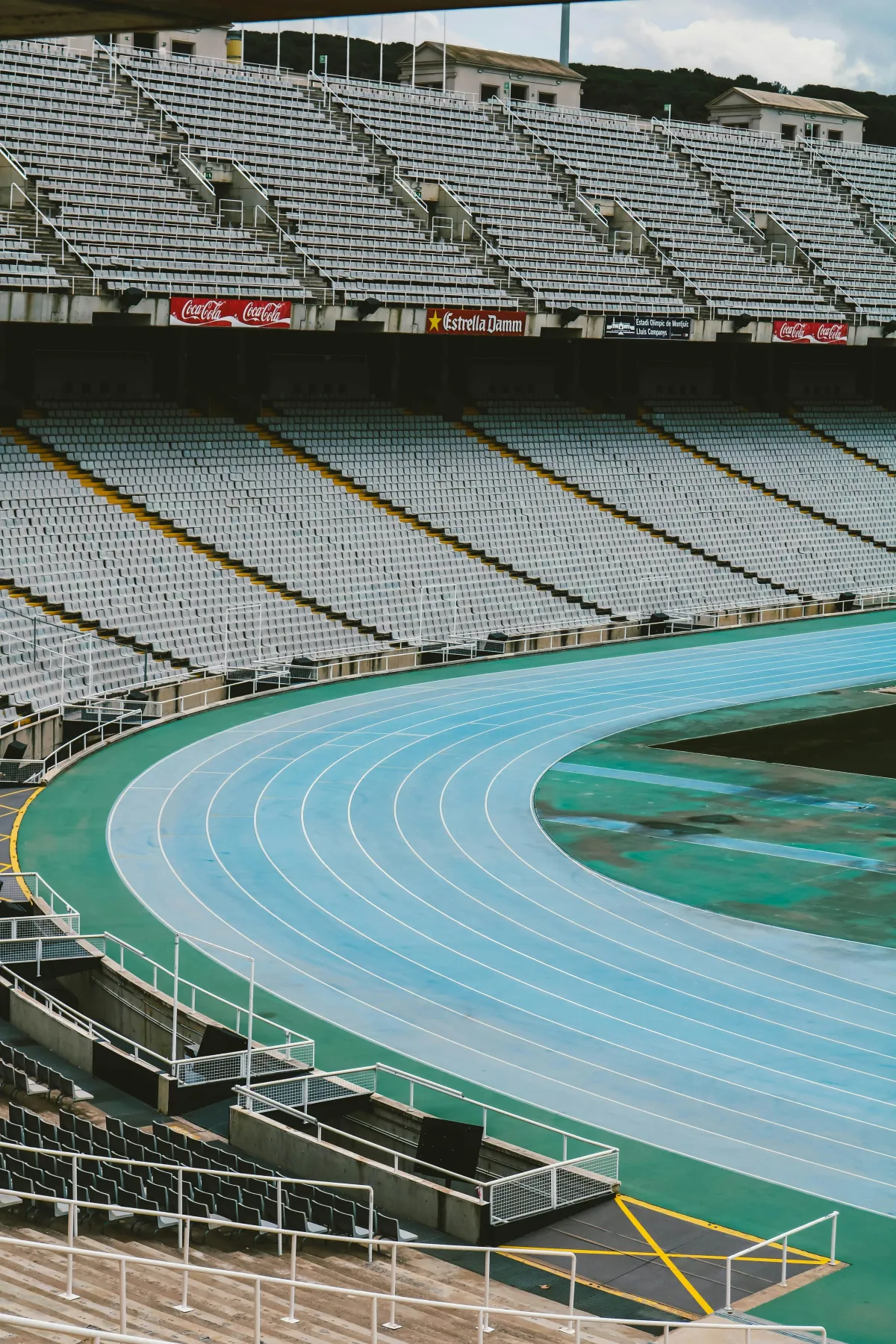 Winning in Competitive Markets: Insights from the Olympics