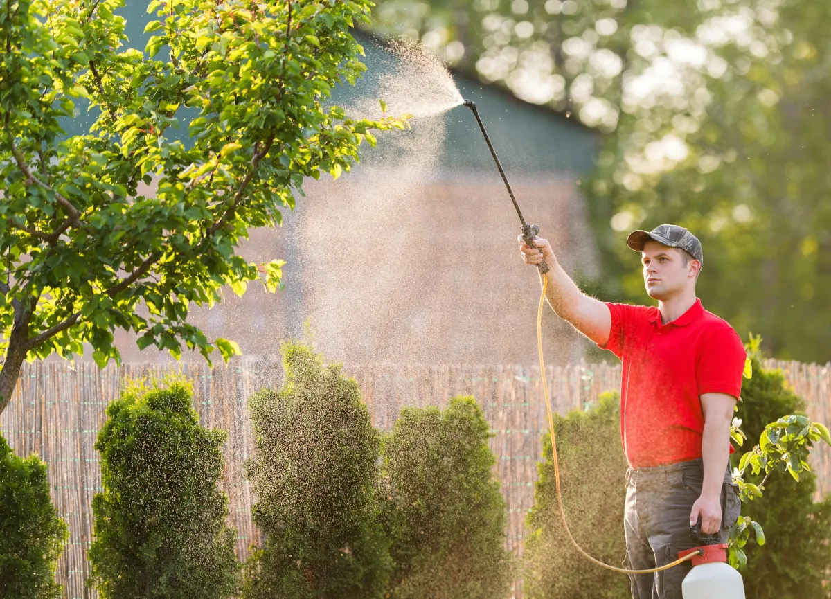 Online Reviews Pest Control