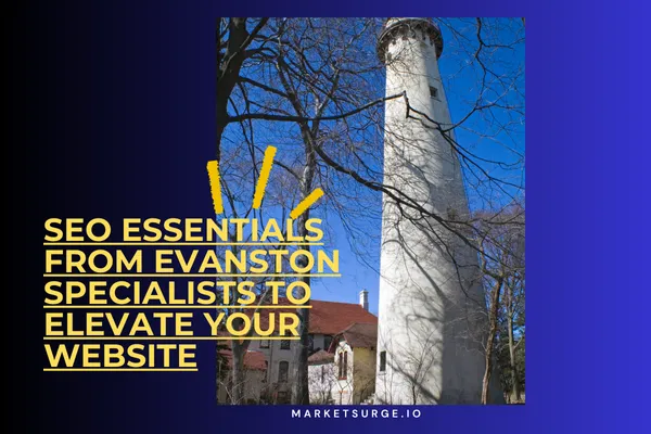 SEO Essentials From Evanston Specialists to Elevate Your Website