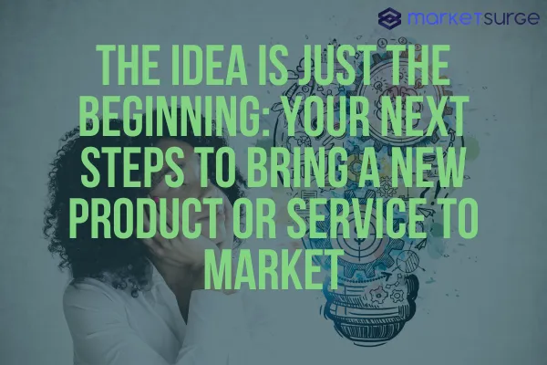 The Idea is Just the Beginning: Your Next Steps to Bring a New Product or Service to Market