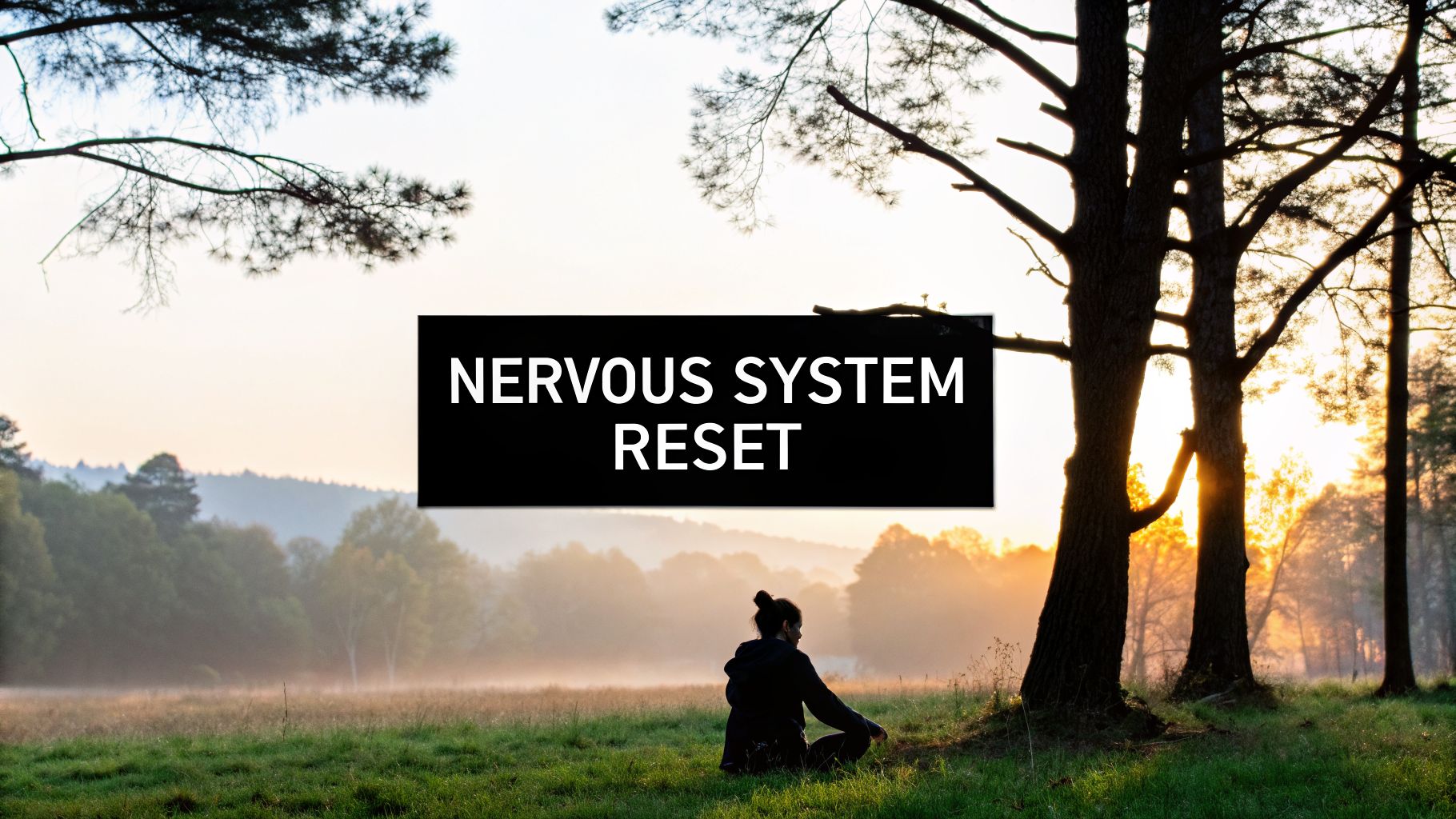What Is Nervous System Regulation and How to Achieve It