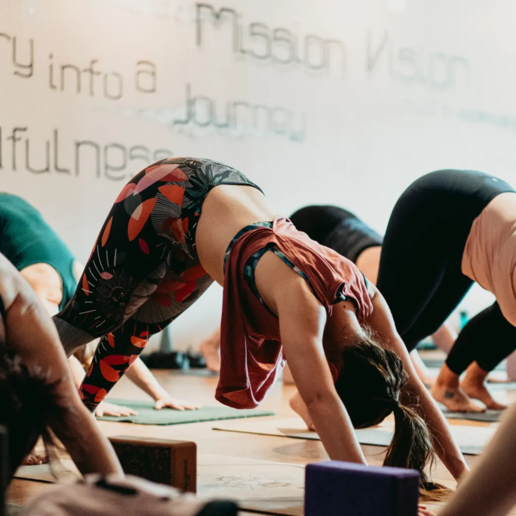 Yoga practitioner transitioning smoothly from Plank Pose to Downward Dog, building strength, shoulder stability and fluid movement.