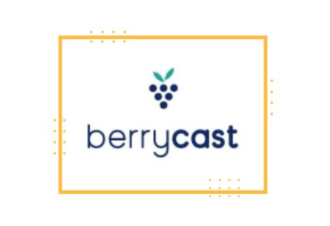 Berrycast Video Recording Software