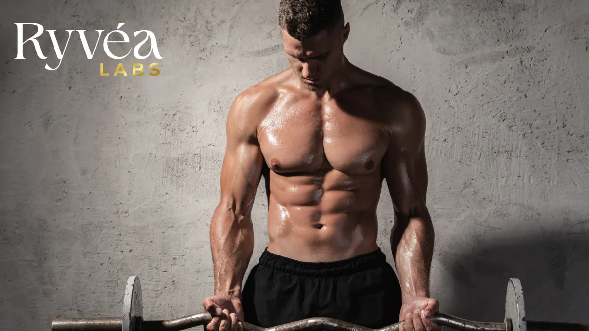 Muscular man lifting heavy barbell in gym, highlighting strength and muscle growth associated with peptide stack CJC-1295 and Ipamorelin—featured in Ryvéa Labs’ science-based guide.